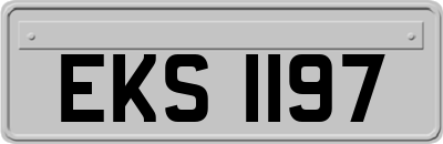 EKS1197