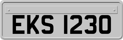 EKS1230