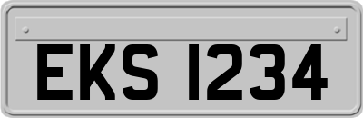 EKS1234
