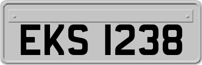 EKS1238