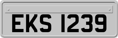 EKS1239