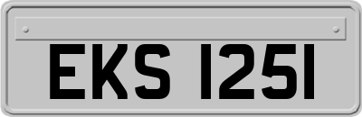 EKS1251