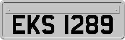 EKS1289
