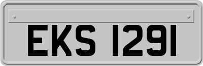 EKS1291