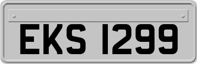 EKS1299