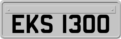 EKS1300