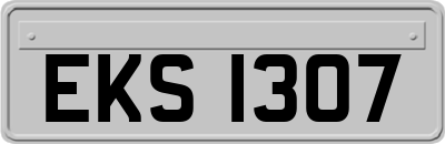 EKS1307