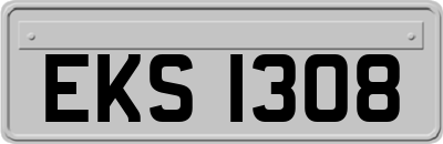 EKS1308