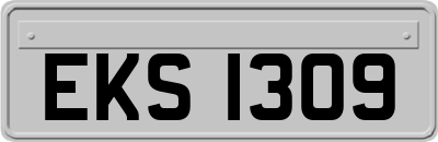 EKS1309