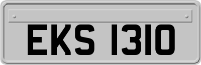 EKS1310