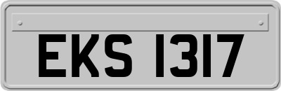 EKS1317