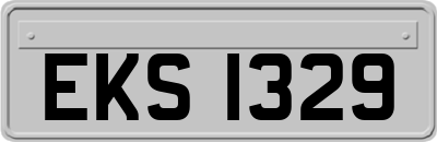 EKS1329