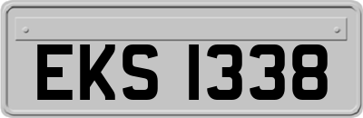 EKS1338