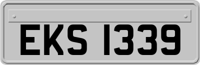 EKS1339