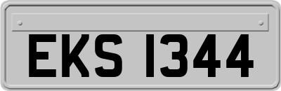 EKS1344