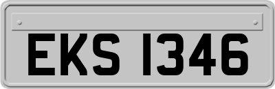 EKS1346