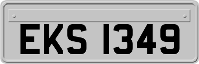 EKS1349