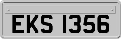 EKS1356