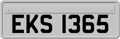 EKS1365