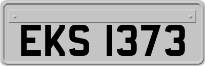 EKS1373