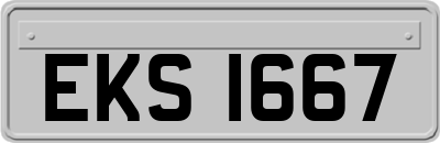 EKS1667