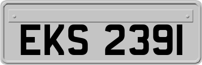 EKS2391