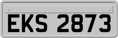 EKS2873