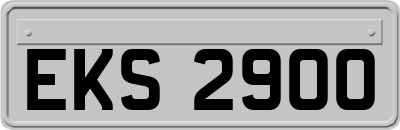 EKS2900