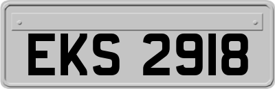 EKS2918