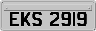 EKS2919