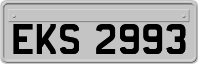 EKS2993