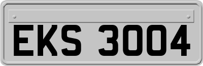 EKS3004