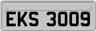 EKS3009