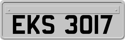 EKS3017