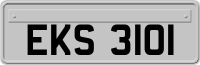 EKS3101