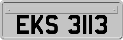 EKS3113