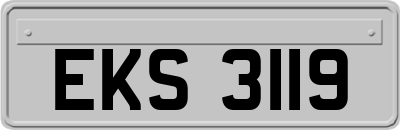 EKS3119