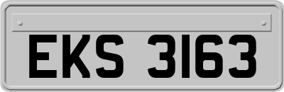 EKS3163