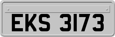 EKS3173