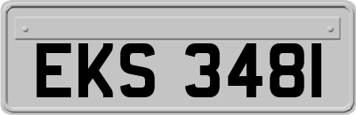 EKS3481