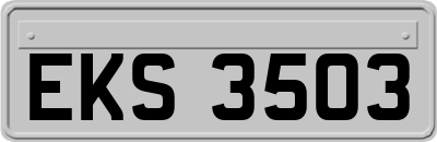 EKS3503