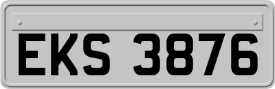 EKS3876