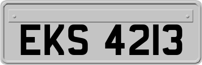 EKS4213