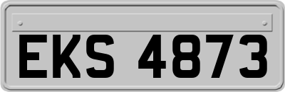 EKS4873