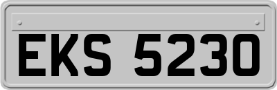 EKS5230