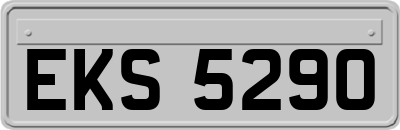 EKS5290