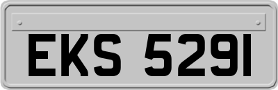 EKS5291