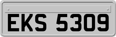 EKS5309
