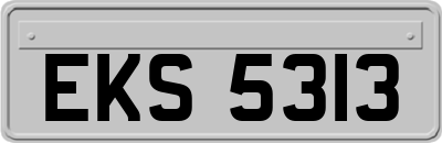 EKS5313