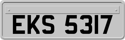 EKS5317